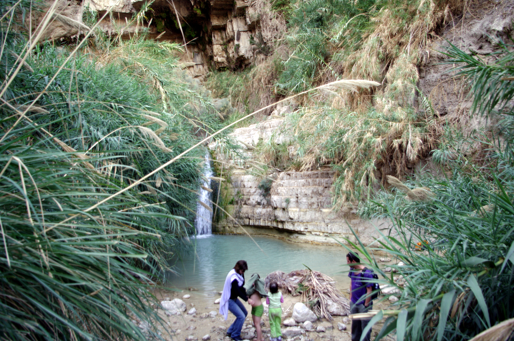 В ущелье Давид можно искупаться. Снимок сделан в