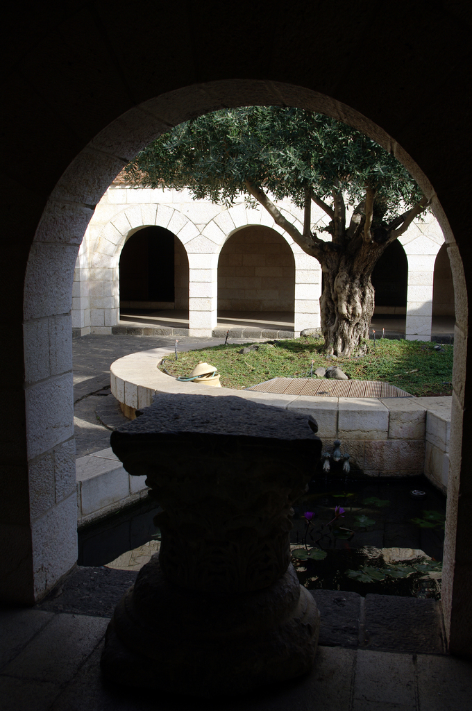 Во дворе церкви Умножения Хлебов и Рыб -