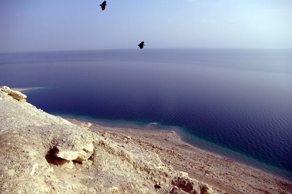 Берег Мертвого моря. Его вода - насыщенный раствор