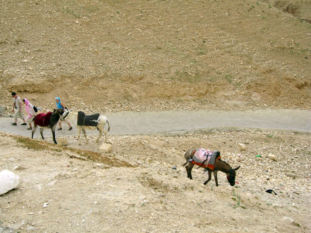 Можно облекчить себе путь к монастырю Святого Георгия,