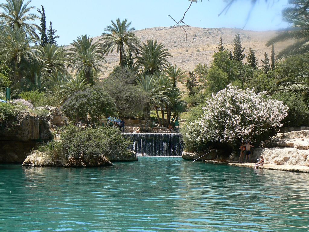 Изумрудная вода, цветы, пальмы, водопад – настоящий оазис