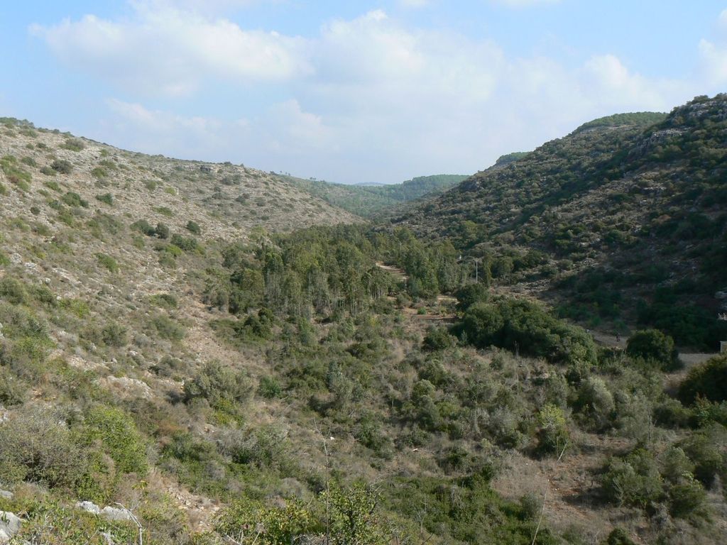 Долина ручья Меарот.