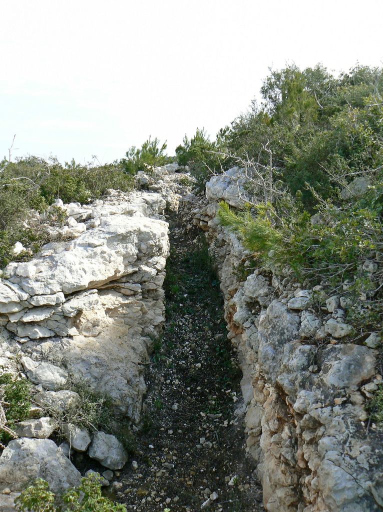 Траншеи на горе Кармель.