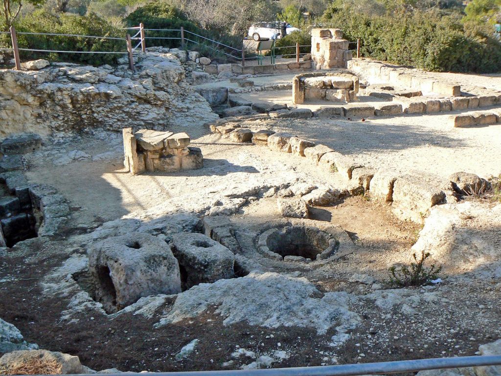 Вино- и маслодавильни вдоль "Дороги поколений".