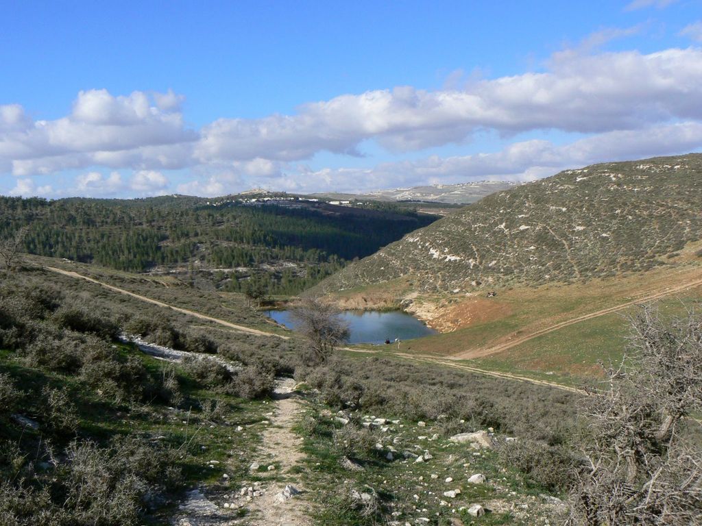 Озерцо в долине ручья Гуш-Халав.