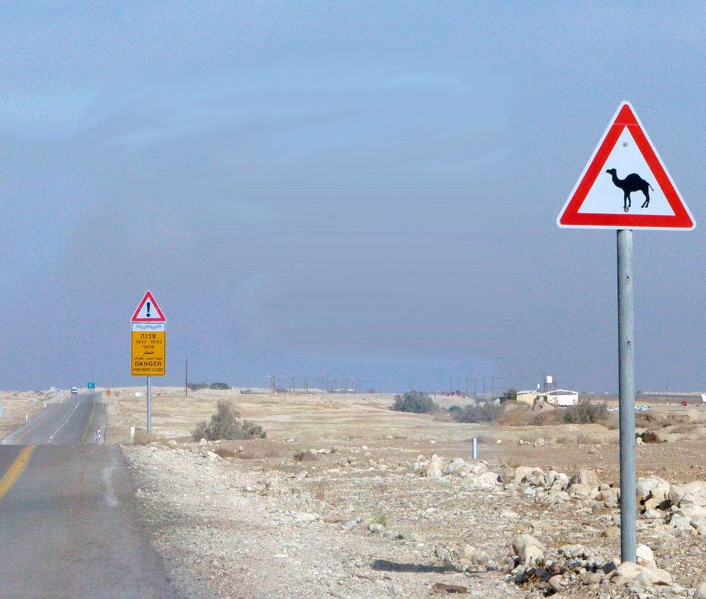 Возможна встреча с домашними животными, а следом -