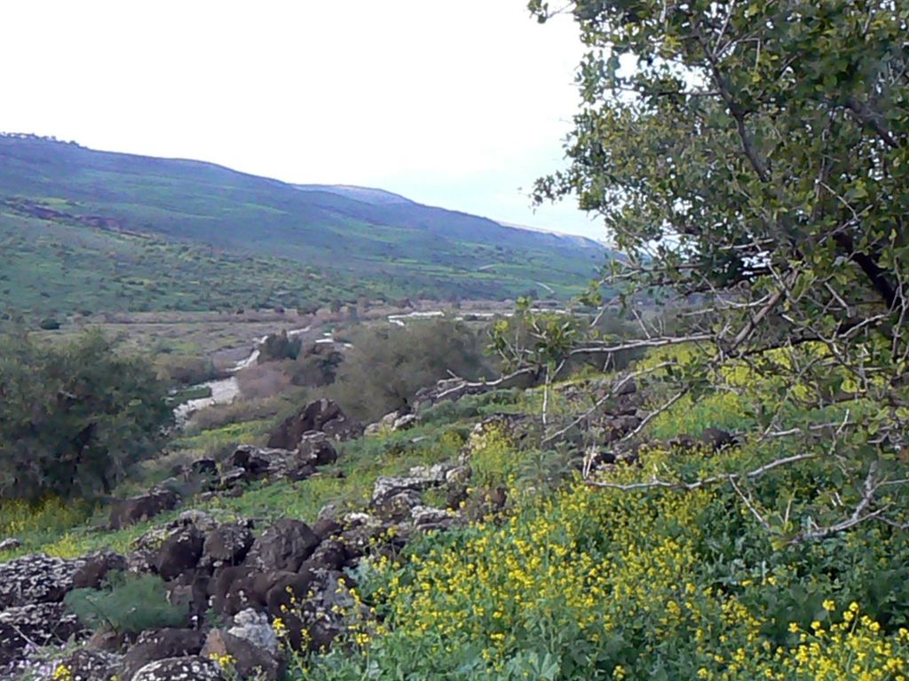 Вид на долину Иордана из парка Ярден. Фотография..
