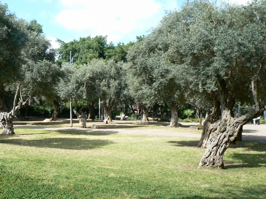 Сад «Биньямин».