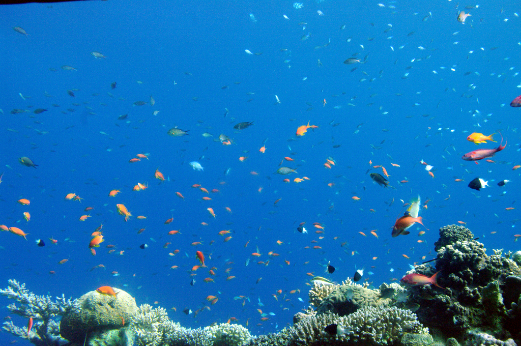 Из окон нижней части обсерватории открываются замечательные виды