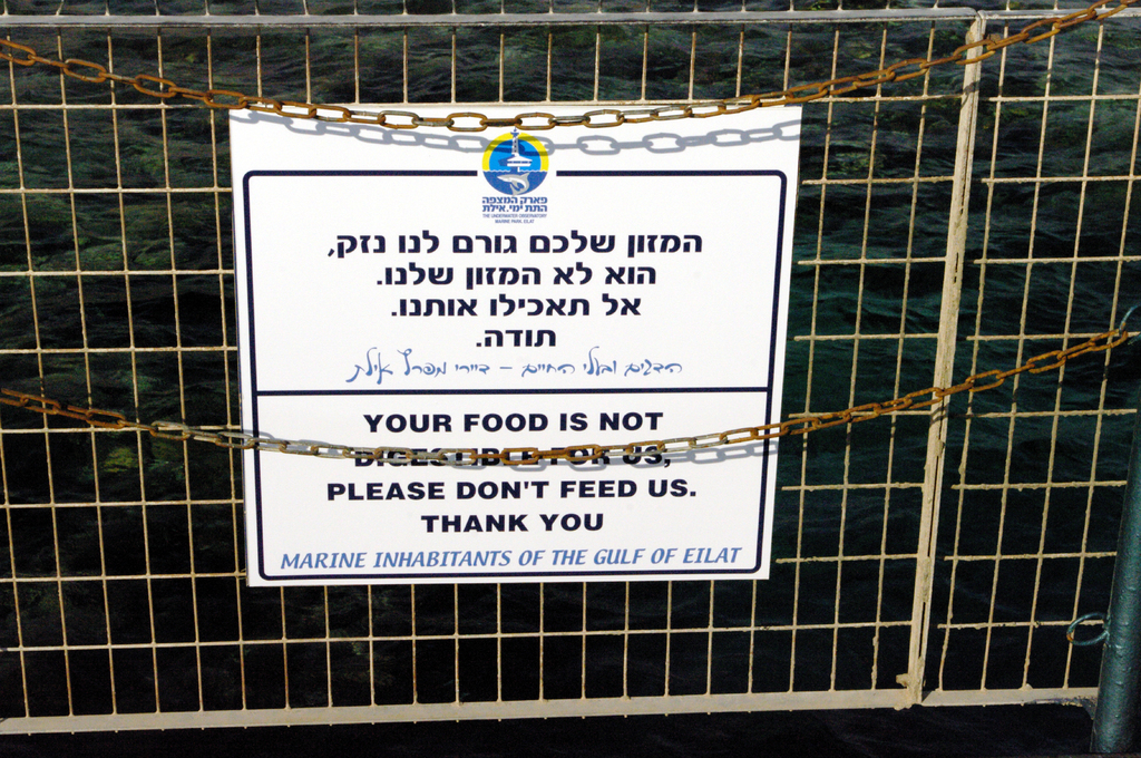 Мы не перевариваем вашу еду. Пожалуйста, не кормите