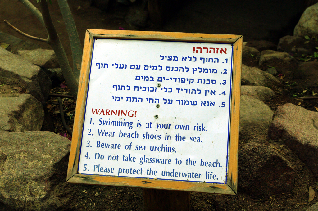 Что можно, а что нельзя на Дельфиньем рифе.