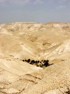 Ущелье Прат (или по-арабски Вади Кельт), расположенно к северу от дороги из Иерусалима в Иерихон. Благодаря источникам воды тут есть жизнь.