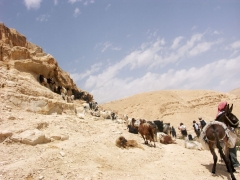 Встреча с пастухом в ущелье Вади Кельт на пути к монастырю Святого Георгия.