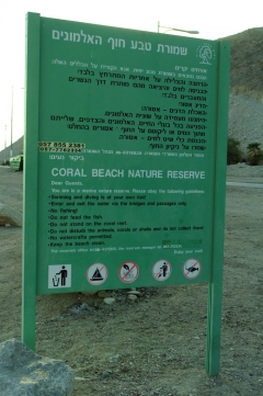 Что можно, а чего нельзя делать на пляжах Эйлата.