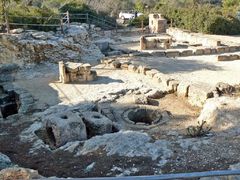 Вино- и маслодавильни вдоль "Дороги поколений".