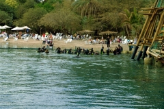 Пляж в дельфинариуме огорожен сеткой. А в гости к дельфинам можно отправится либо в маске, либо с аквалангом. Но это уже за дополнительные деньги.