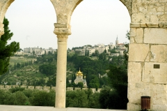 Вид на Масличную гору со стороны Храмовой горы