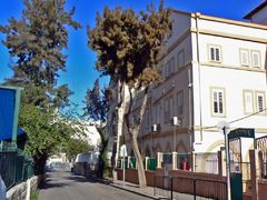 Хайфа. Институт Гартега.