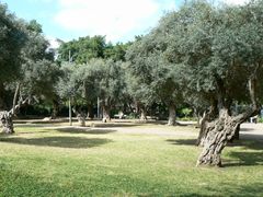 Сад «Биньямин».