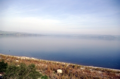 Еще одна фотография Галилейского моря. Сделана с его западного берега в сторону севера.