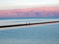 Южная часть Мертвого моря, где расположен Эйн-Бокек, пересекается такими многочисленными насыпями-дамбами, по которым можно гулять.